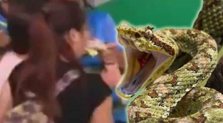 Girl tries to kiss snake... and instantly regrets her decision