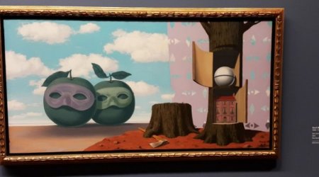 Albertina – dünya qrafika sənətinin saxlanıldığı xəzinə - REPORTAJ