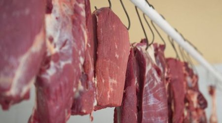 Bakıda yararsız ət məhsulları məhv edildi