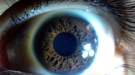 The tragic fate of the people who stop sleeping