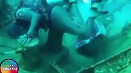 MÜXTƏLİF: Su heyvanları insanlara qəfil hücum etdi