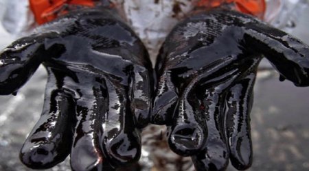 Neftin qəfil bahalaşmasının səbəbi - Ekspert şərhi