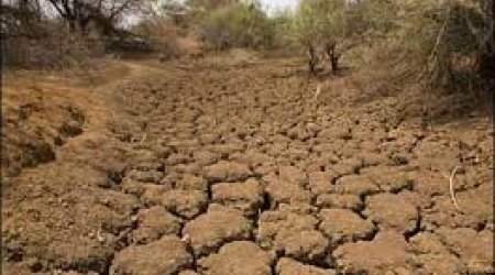 В Эфиопии сильнейшая засуха
