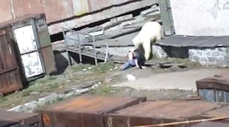 Terrifying moment stunned woman is mauled by polar bear