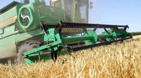 Azərbaycanda “kolxoz” yaradıldı