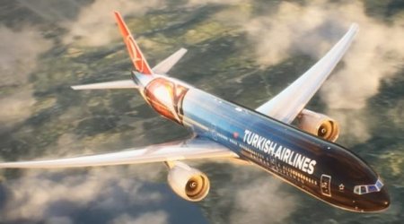 Турки раскрасили самолет