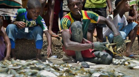 In pictures: Fishing in Sierra Leone