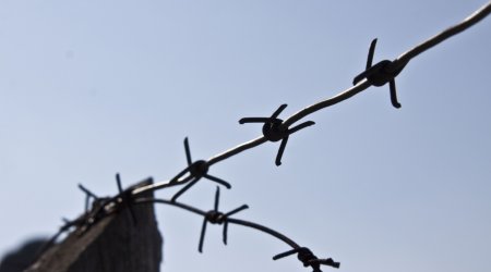 Dövlət Komissiyasının yeni tərkibi açıqlandı - SİYAHI