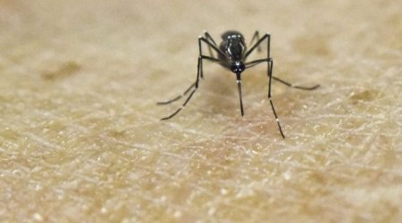 Zika virus 'scarier than thought' says US