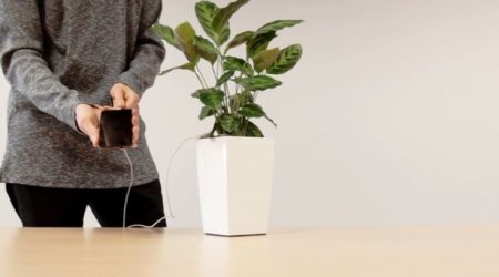 Зарядка смартфонов от горшка