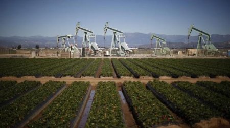 Crude oil prices take a breather after hitting 2016 highs