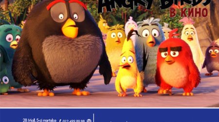 «Angry Birds в кино» на экранах CinemaPlus