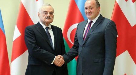 Artur Rasizadə Gürcüstan prezidenti ilə görüşdü 