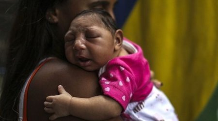 Zika virus may reach Europe this summer