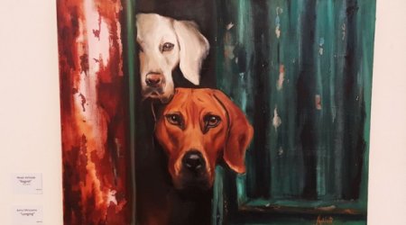 Sahibsiz heyvanların müdafiəsi üçün xeyriyyə sərgisi - FOTO