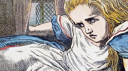 Alce in Wonderland's hidden messages