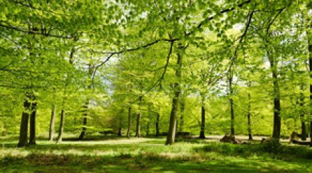 Baku weather forecast for June 22