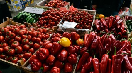 Azərbaycan Rusiyaya pomidor ixracını kəskin artırıb