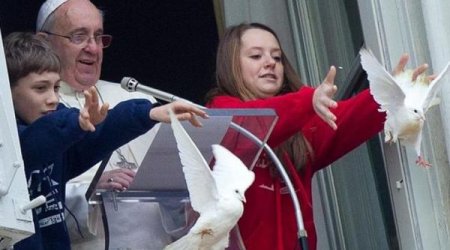 Papa Türkiyəyə İrəvandan göyərçinlə mesaj göndərəcək