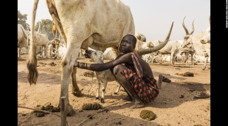 The Mundari: The tribe dying for their cows