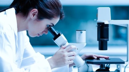 503 nəfərdə talassemiya aşkarlanıb