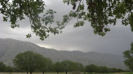 Baku weather forecast for August 2