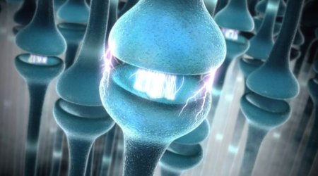 'Hacking nerves can control disease'