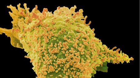 Cancer gene tests 'reveal family link'