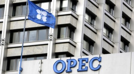 OPEC və Rusiya yenidən danışıqlara başlayır