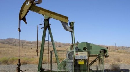 Neftin son qiymətləri