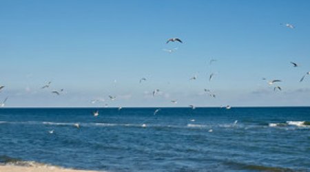 Baku weather forecast for August 17