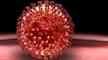 Viruses 'more dangerous in the morning'