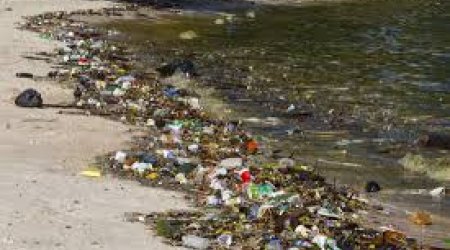 Two Azeri districts concerned over water pollution