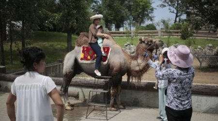 North Korea's national zoo: Donkeys, dinosaurs and dogs