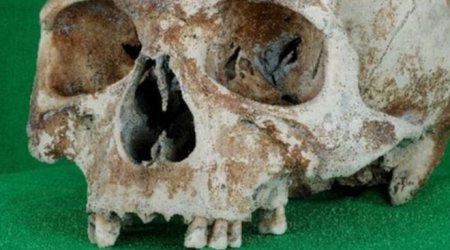 Mary Rose shipwreck skulls go online in 3D