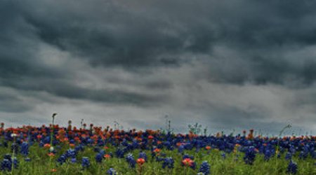 Baku weather forecast for Sep.6