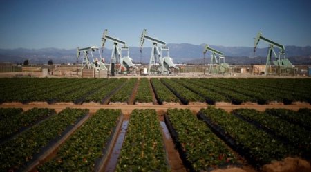 Oil pulls back after big jump on U.S. crude stock draw