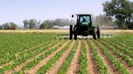 Subsidiyaların veriləcəyi məhsulların siyahısı hazırlanır