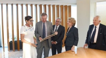 Mehriban Əliyeva fransalı deputatla görüşüb – FOTOLAR