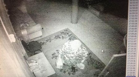 Инцидент с древней мумией - ВИДЕО