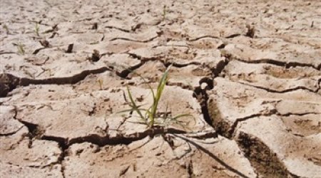 Catastrophe looms as 850,000 go hungry, says UN - Madagascar drought