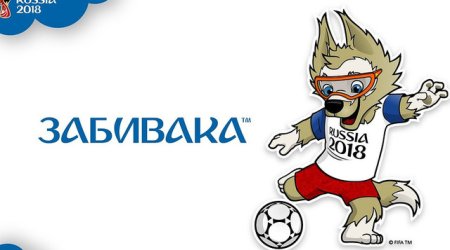 Выбран талисман ЧМ-2018