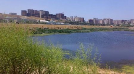 2 min sosial mənzil tikiləcək - Bakıda