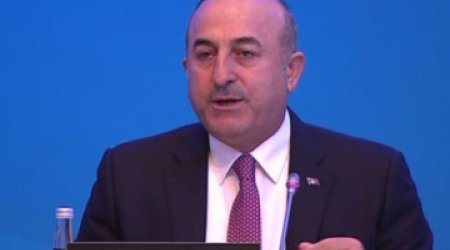 Mevlut Cavusoglu: Armenians occupied Karabakh
