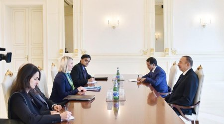 İlham Əliyev Bridcet Brinki qəbul etdi