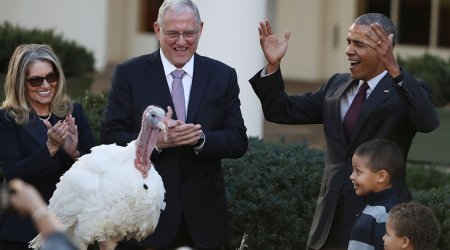 Обама помиловал индейку - ВИДЕО