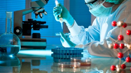 Nazirlik elmi tədqiqat aparanlara mükafat verəcək