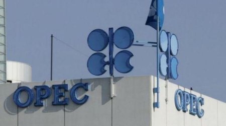 OPEC basket rises in price
