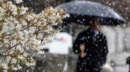 Baku weather forecast for Jan.20