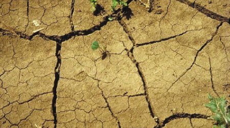 Keniyada milli fəlakət elan olunub